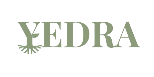 Yedra